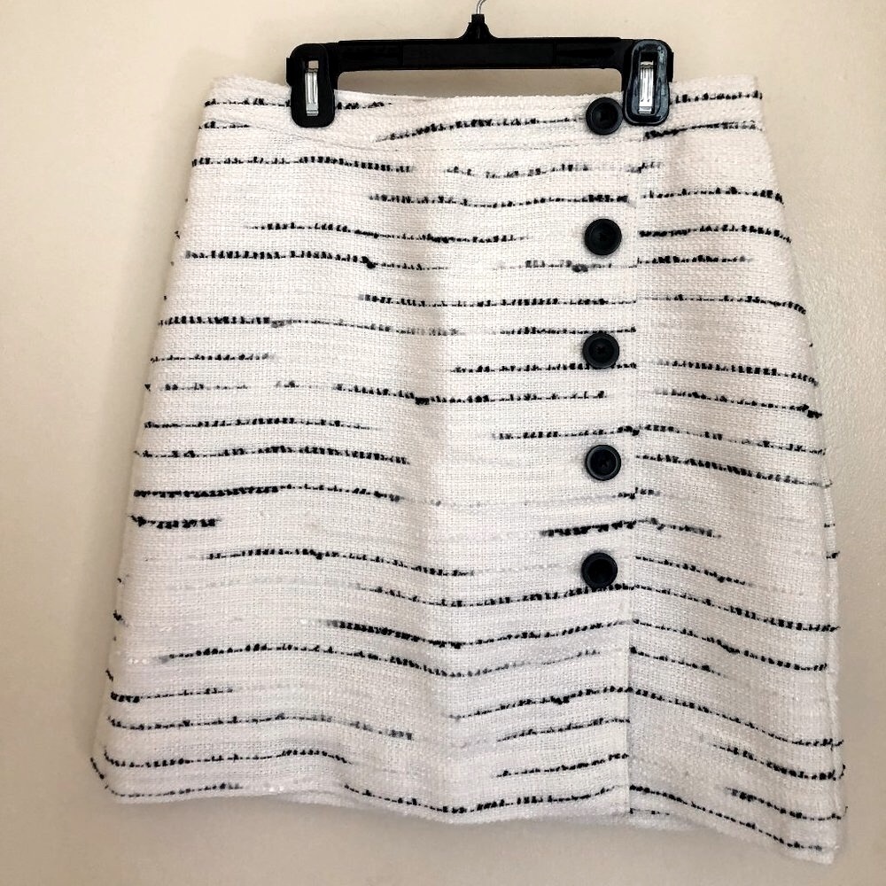 Ann Taylor Skirt